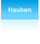 Hauben
